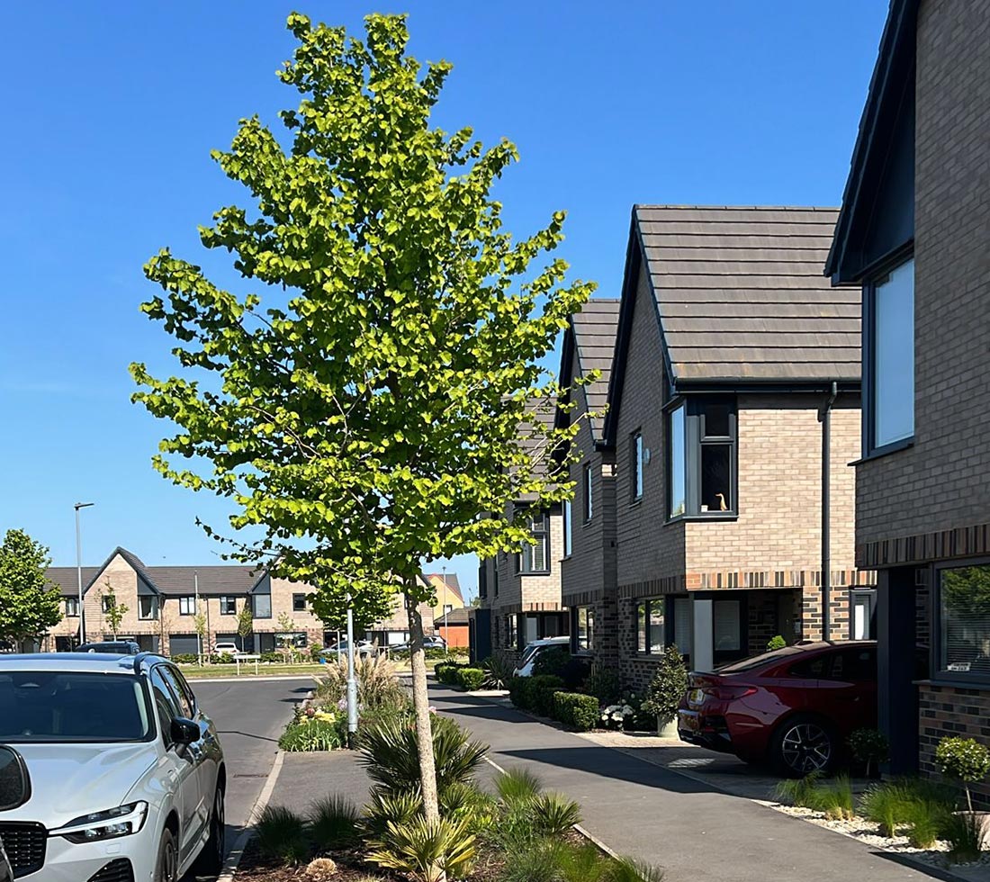 E J Taylor, Felixstowe, Suffolk